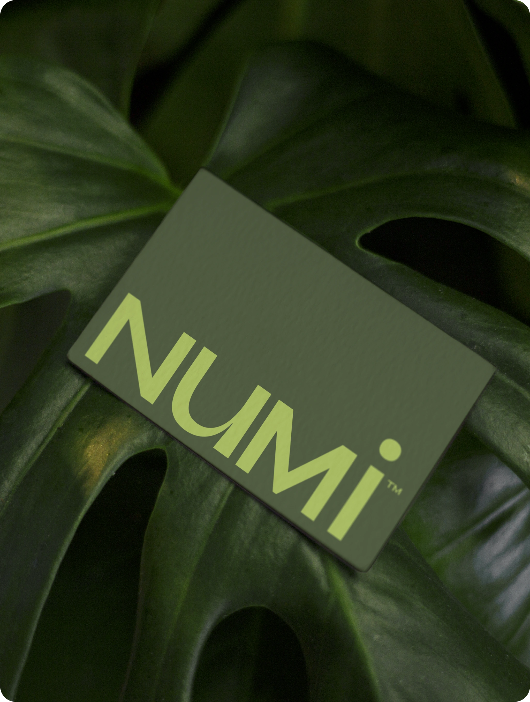 Numi two