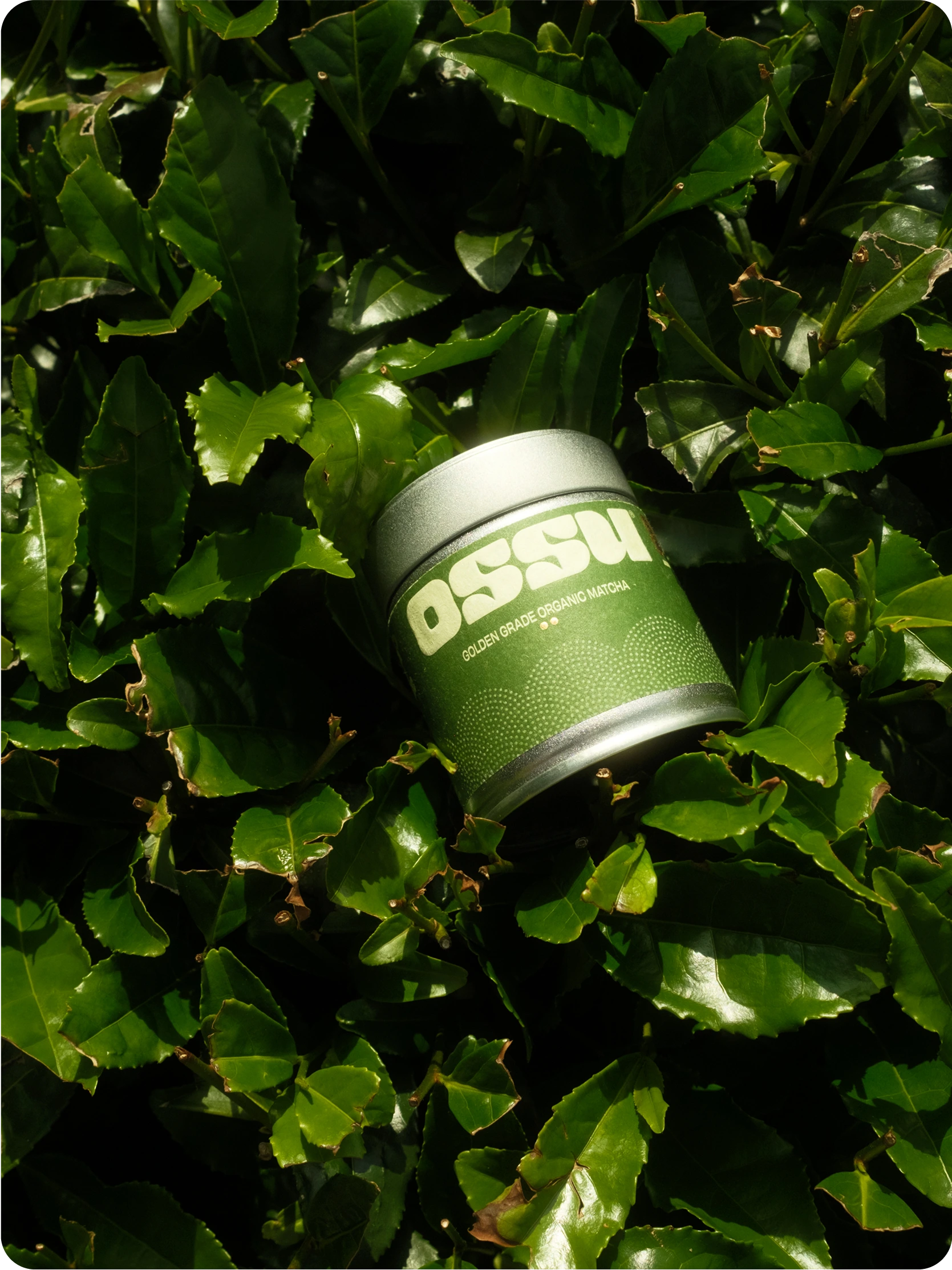 ossfour