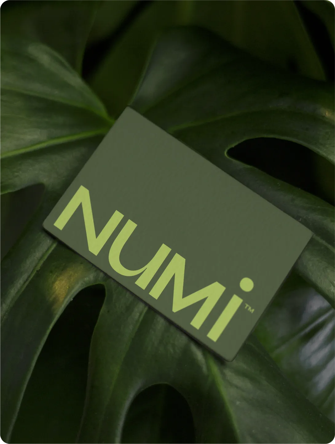 Numi overview